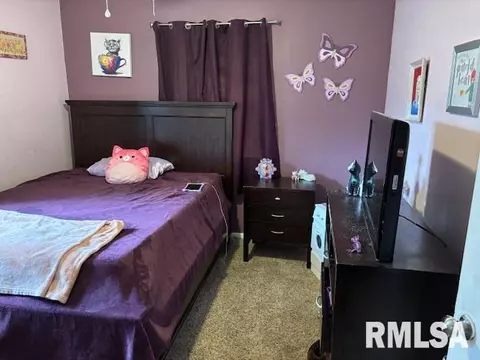 1675 W Glenn Ave, Springfield, IL 62704 photo 18