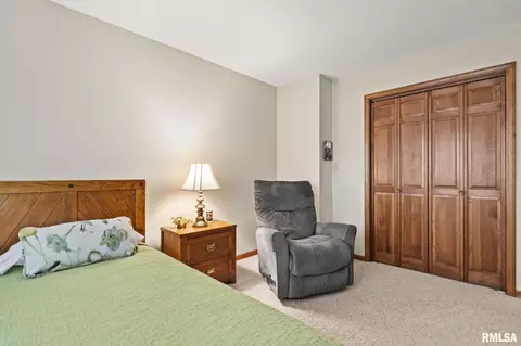 2909 Mill Point Ct, Springfield, IL 62704 photo 30