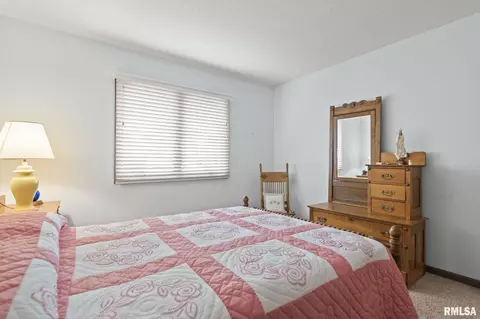 2909 Mill Point Ct, Springfield, IL 62704 photo 26
