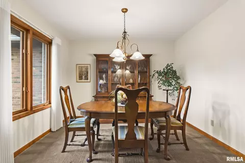 2909 Mill Point Ct, Springfield, IL 62704 photo 20