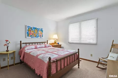 2909 Mill Point Ct, Springfield, IL 62704 photo 27