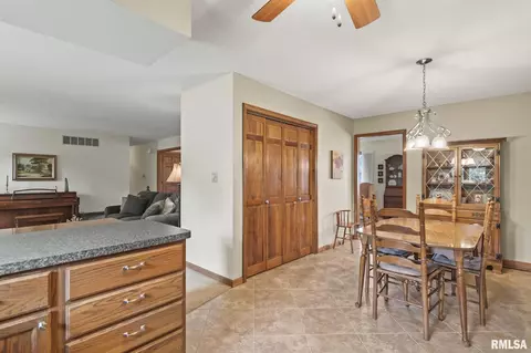 2909 Mill Point Ct, Springfield, IL 62704 photo 17