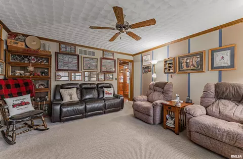 127 Elm Ave, Cornland, IL 62519 photo 6