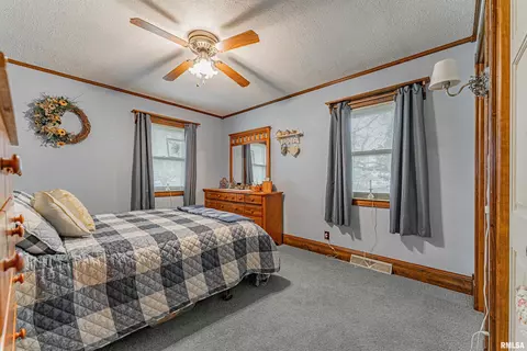 127 Elm Ave, Cornland, IL 62519 photo 22