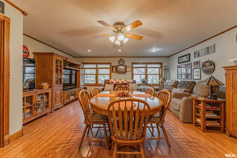 127 Elm Ave, Cornland, IL 62519 photo 13