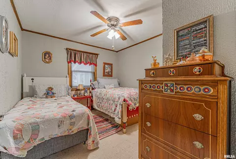 127 Elm Ave, Cornland, IL 62519 photo 24