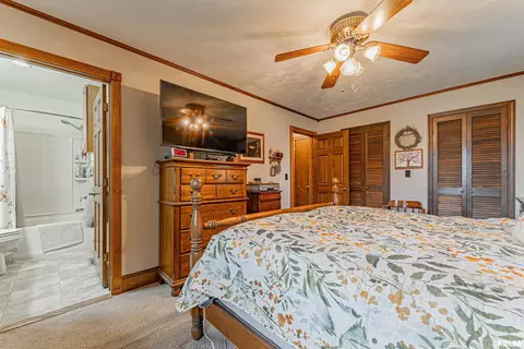 127 Elm Ave, Cornland, IL 62519 photo 20