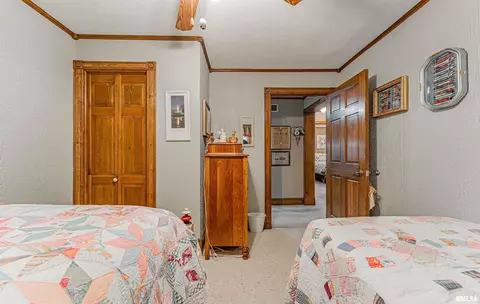 127 Elm Ave, Cornland, IL 62519 photo 25