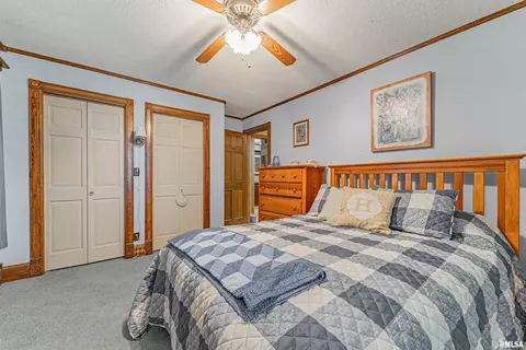 127 Elm Ave, Cornland, IL 62519 photo 23
