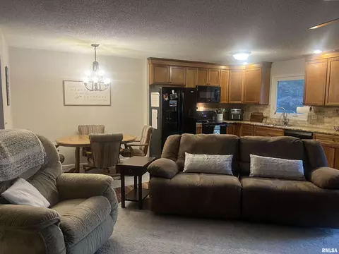 1112 Paddock Ln, Springfield, IL 62712 photo 9