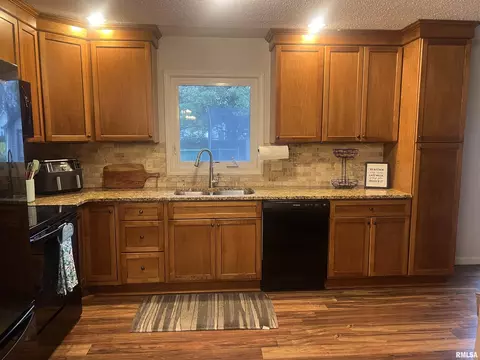 1112 Paddock Ln, Springfield, IL 62712 photo 4