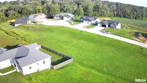 59 Moonlight Ct, Chatham, IL 62629