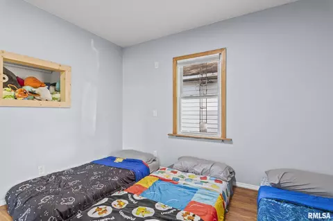 605 W Maple Ave, Springfield, IL 62702 photo 21