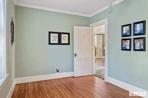 717 S Walnut St, Springfield, IL 62704 photo 39