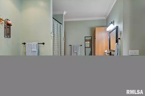6716 Phlox Dr, Springfield, IL 62712 photo 31