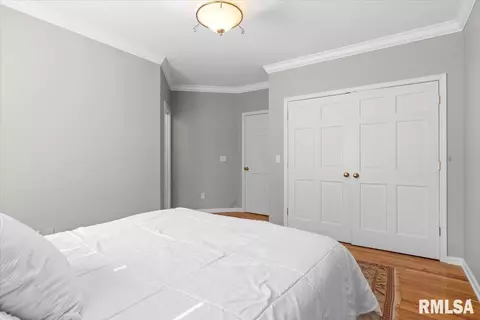 8 The Elms Ln, Springfield, IL 62712 photo 34