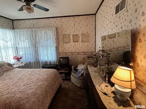 407 Dawson St, Springfield, IL 62702 photo 13