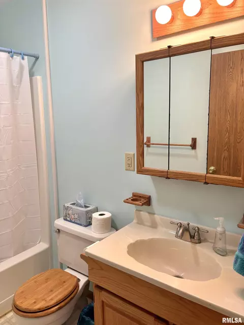 3137 Camereigh Dr, Springfield, IL 62707 photo 23