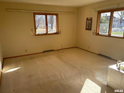 219 E 1st St, Assumption, IL 62510 photo 17