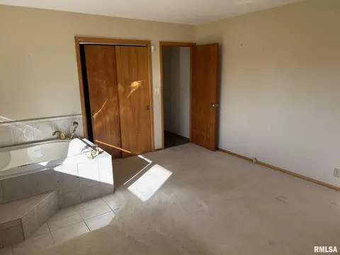 219 E 1st St, Assumption, IL 62510 photo 15