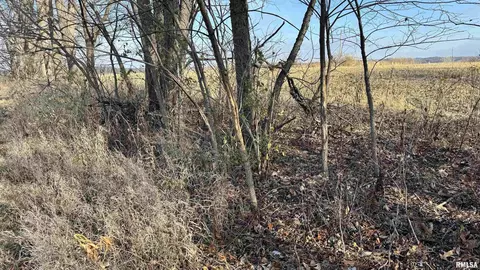 Timber Road, Kewanee, IL 61443 photo 21