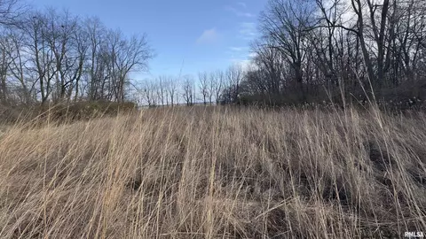 Timber Road, Kewanee, IL 61443 photo 18