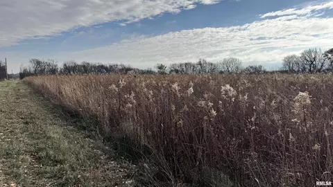 Timber Road, Kewanee, IL 61443 photo 10