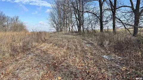 Timber Road, Kewanee, IL 61443 photo 19