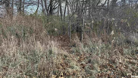 Timber Road, Kewanee, IL 61443 photo 15