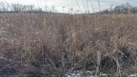 Timber Road, Kewanee, IL 61443 photo 12