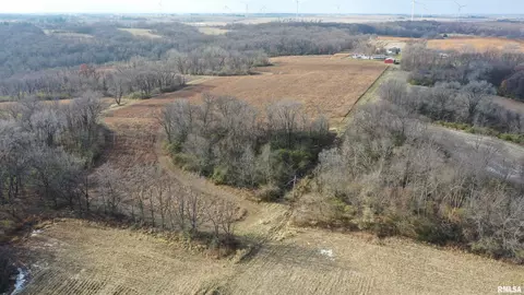 Timber Road, Kewanee, IL 61443 photo 2
