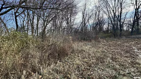 Timber Road, Kewanee, IL 61443 photo 14