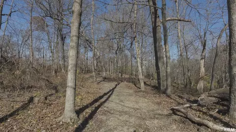 000 Deford Rd, Dunlap, IL 61525 photo 10