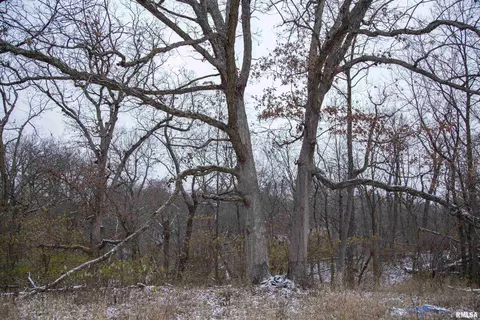 000 Deford Rd, Dunlap, IL 61525 photo 67