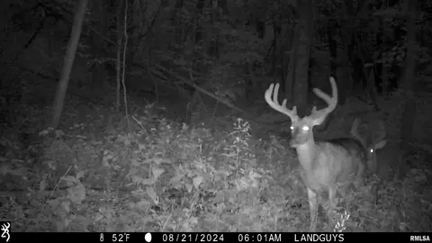 000 Deford Rd, Dunlap, IL 61525 photo 24