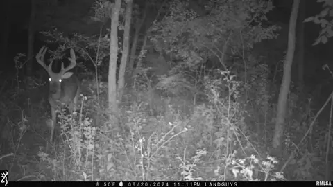 000 Deford Rd, Dunlap, IL 61525 photo 22