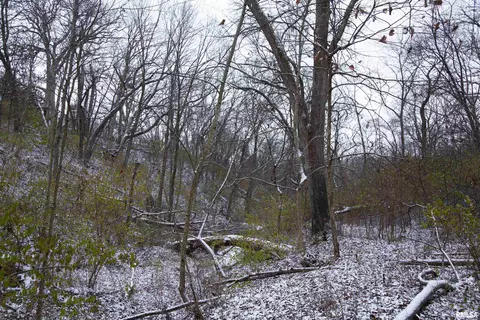 000 Deford Rd, Dunlap, IL 61525 photo 57