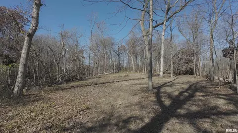 000 Deford Rd, Dunlap, IL 61525 photo 9