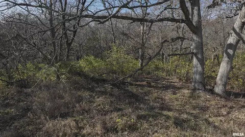 000 Deford Rd, Dunlap, IL 61525 photo 20