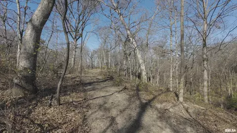 000 Deford Rd, Dunlap, IL 61525 photo 8