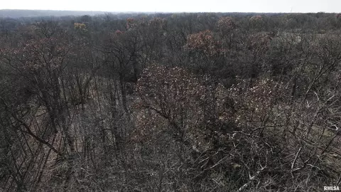 000 Deford Rd, Dunlap, IL 61525 photo 18