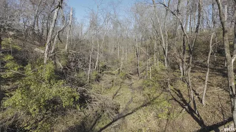 000 Deford Rd, Dunlap, IL 61525 photo 14