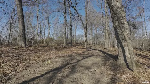 000 Deford Rd, Dunlap, IL 61525 photo 11