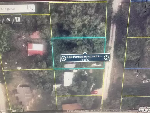 313 Johnson Rd, Meredosia, IL 62665