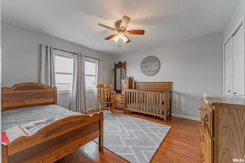21 Prairie Ln, Mount Pulaski, IL 62548 photo 39