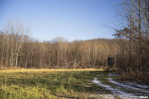 000 Williams Creek Rd, Augusta, IL 62311 photo 38