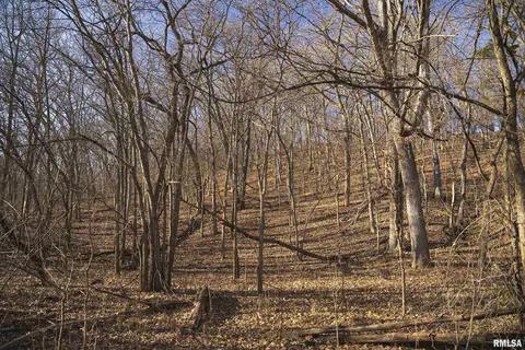 000 Williams Creek Rd, Augusta, IL 62311 photo 62