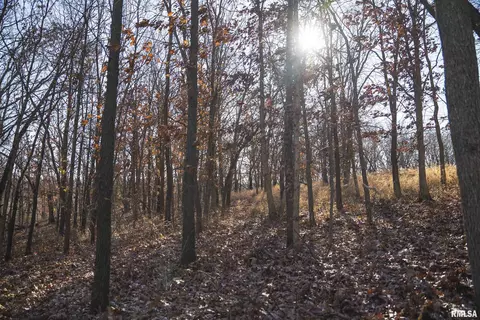 000 Williams Creek Rd, Augusta, IL 62311 photo 55