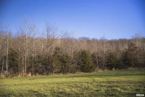 000 Williams Creek Rd, Augusta, IL 62311 photo 40