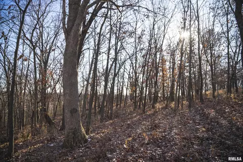 000 Williams Creek Rd, Augusta, IL 62311 photo 56